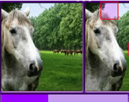 klnbsg keres - Find the differences horses