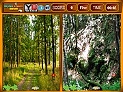 klnbsg keres - Forest similarities