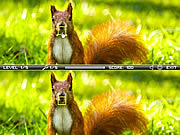 Squirrel difference játék